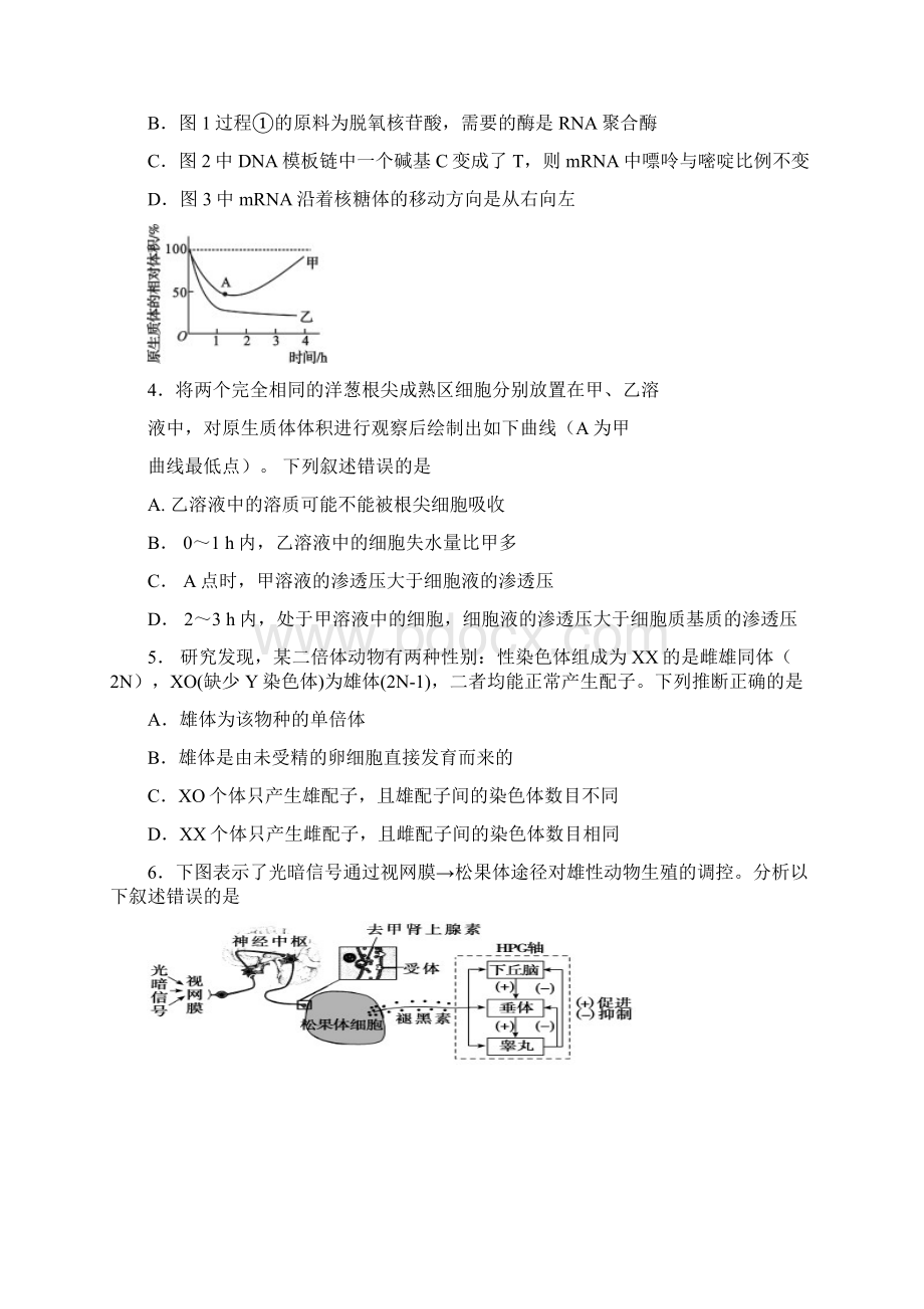 吉林市普通中学高三第三次调研考试题+理科综合+Word版含答案Word文档下载推荐.docx_第2页