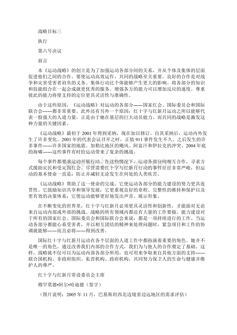 国际红十字与红新月运动战略.docx_第2页