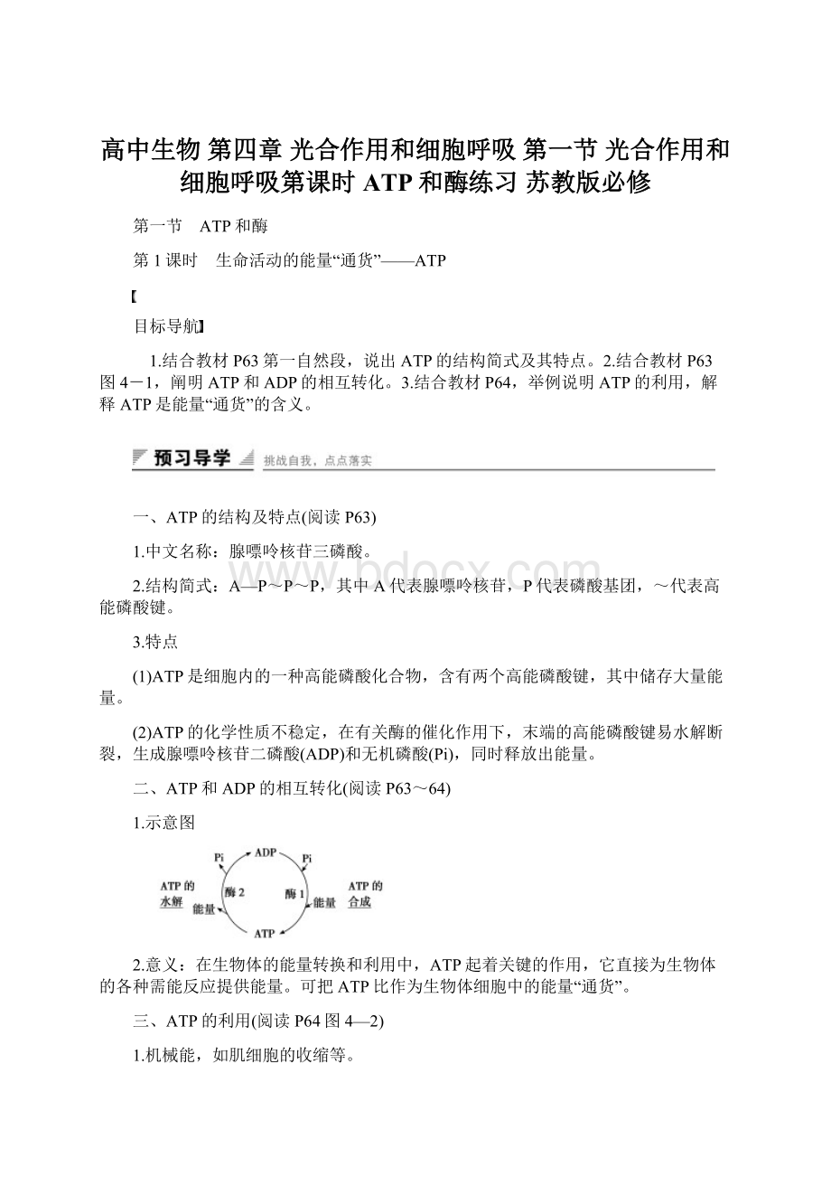 高中生物 第四章 光合作用和细胞呼吸 第一节 光合作用和细胞呼吸第课时ATP和酶练习 苏教版必修.docx