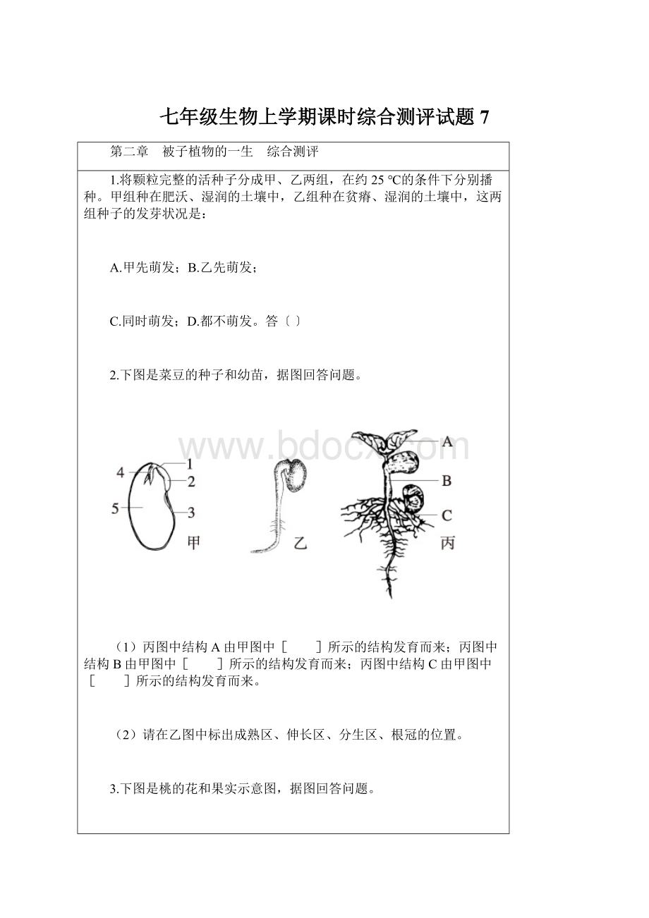 七年级生物上学期课时综合测评试题7.docx_第1页