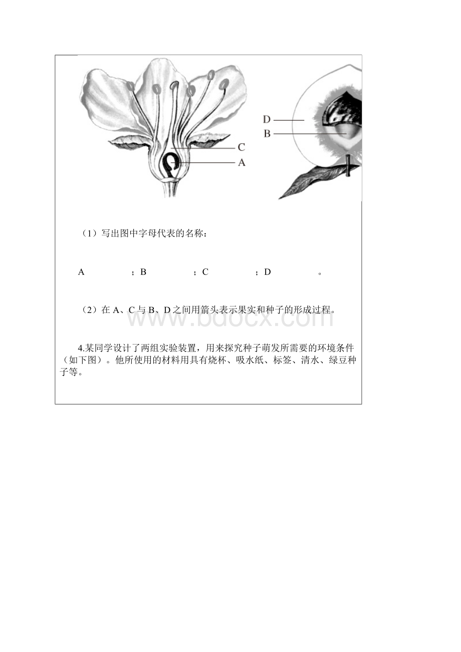 七年级生物上学期课时综合测评试题7.docx_第2页