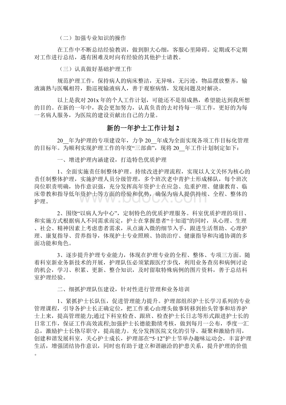 新的一年护士工作计划4篇Word文件下载.docx_第2页