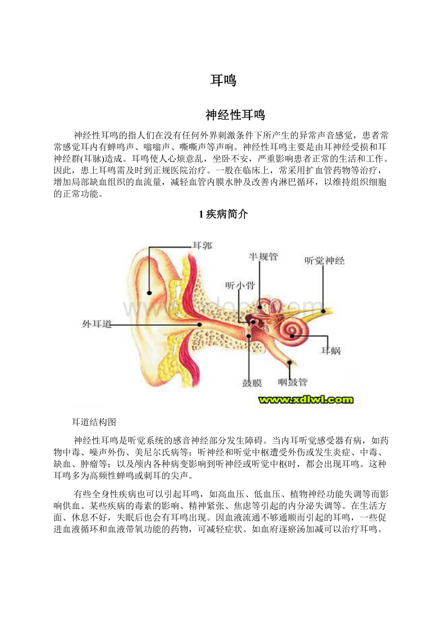 耳鸣.docx_第1页