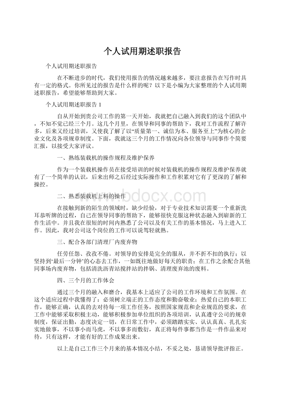 个人试用期述职报告文档格式.docx_第1页