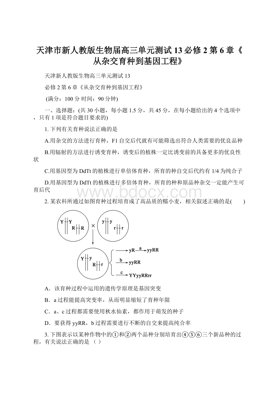 天津市新人教版生物届高三单元测试13必修2第6章《从杂交育种到基因工程》.docx_第1页