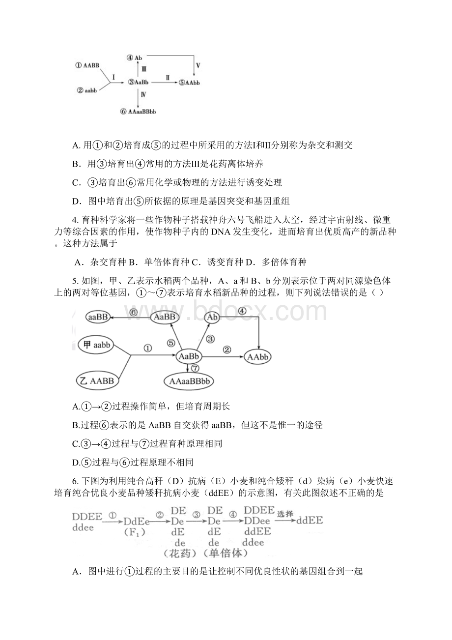 天津市新人教版生物届高三单元测试13必修2第6章《从杂交育种到基因工程》.docx_第2页