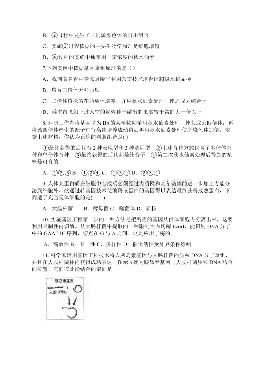 天津市新人教版生物届高三单元测试13必修2第6章《从杂交育种到基因工程》.docx_第3页