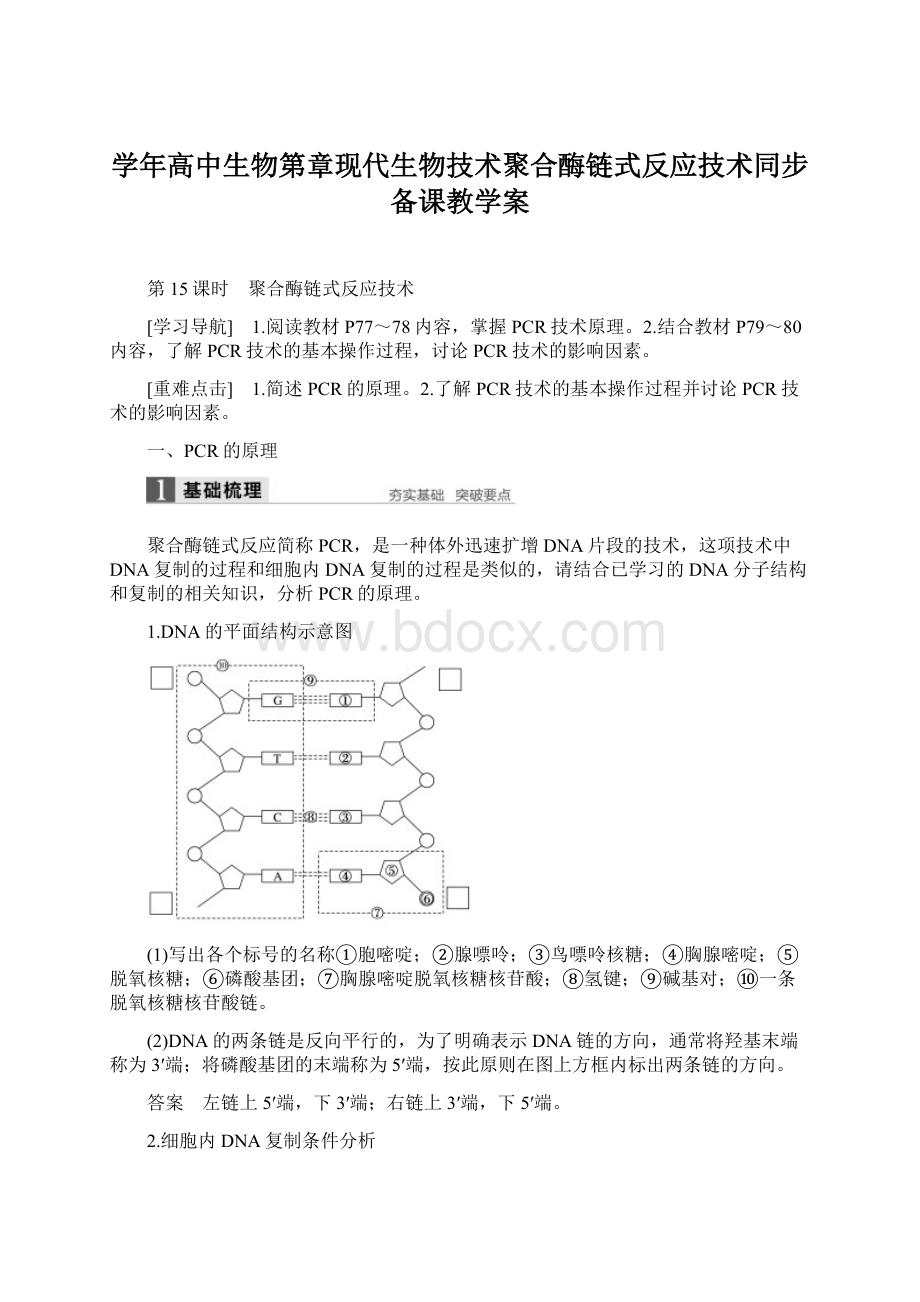 学年高中生物第章现代生物技术聚合酶链式反应技术同步备课教学案Word文件下载.docx_第1页