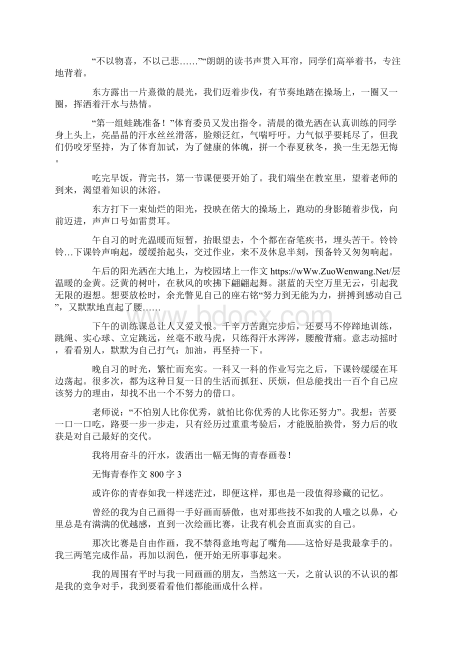 无悔青春作文800字.docx_第2页