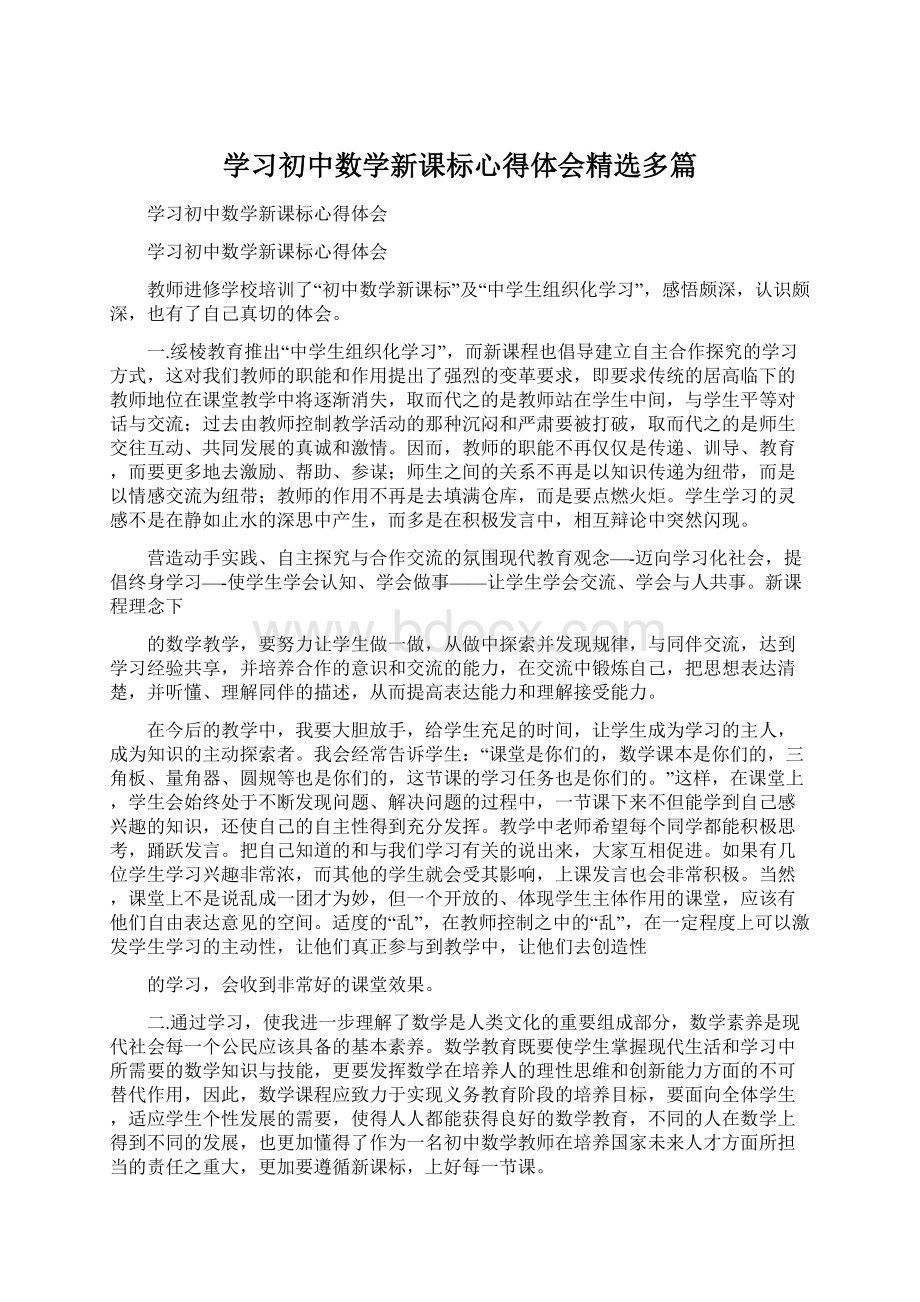 学习初中数学新课标心得体会精选多篇.docx_第1页