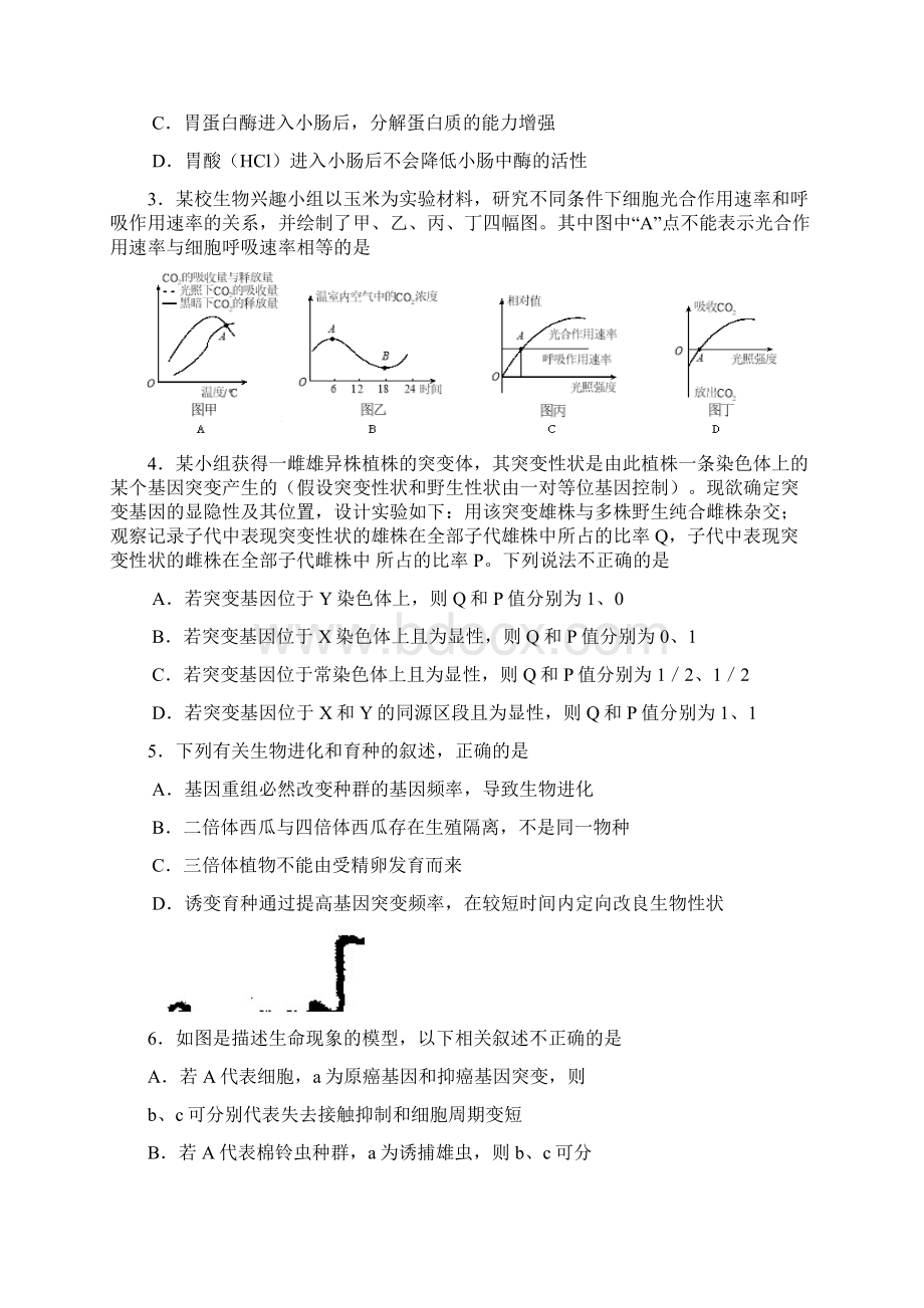 河南省平顶山市届高三第二次调研考试生物试题及答.docx_第2页