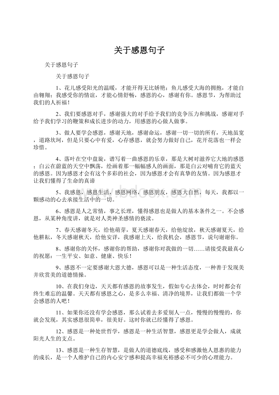 关于感恩句子Word格式文档下载.docx