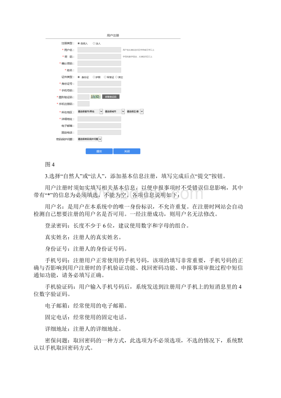 辽宁政务服务网网上申报操作手册.docx_第3页