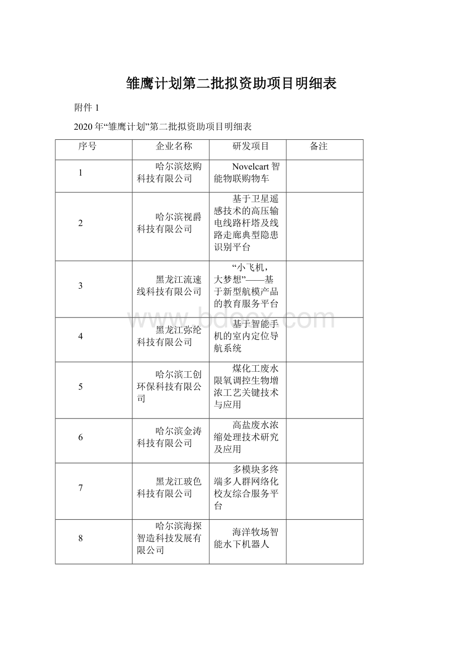 雏鹰计划第二批拟资助项目明细表Word下载.docx_第1页