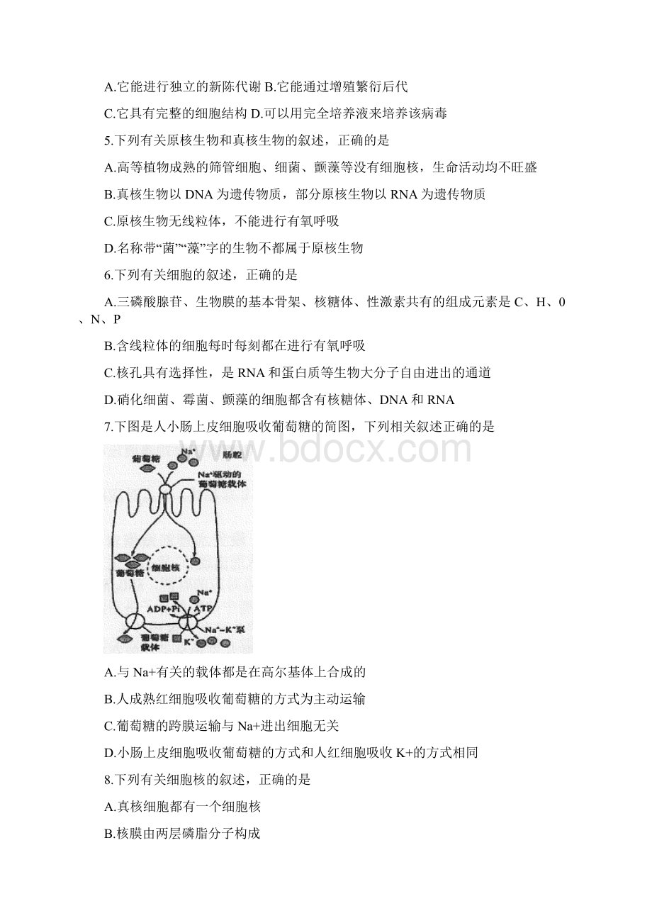 学年河南省邓州市实验中学高二上学期期中考试生物试题.docx_第2页