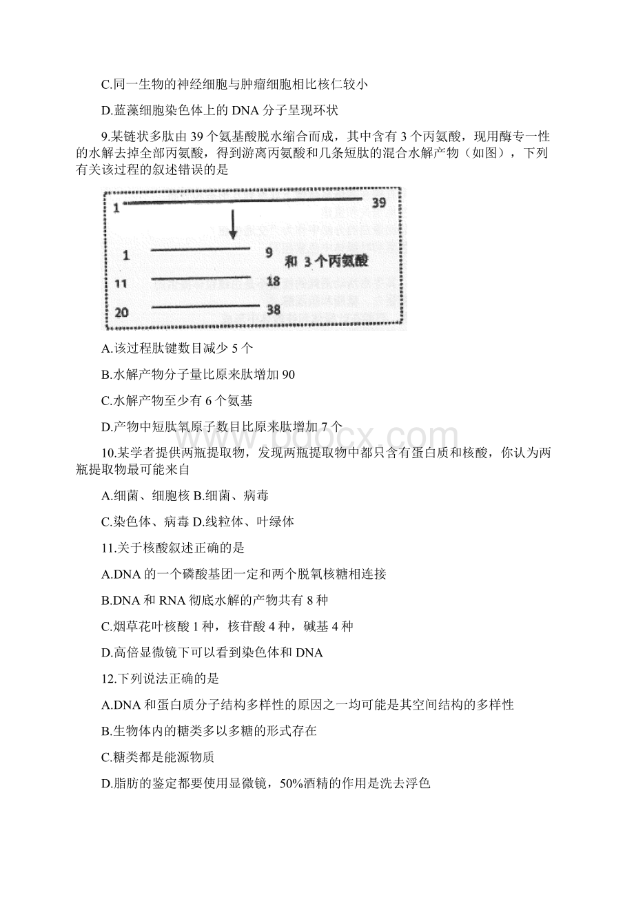 学年河南省邓州市实验中学高二上学期期中考试生物试题.docx_第3页