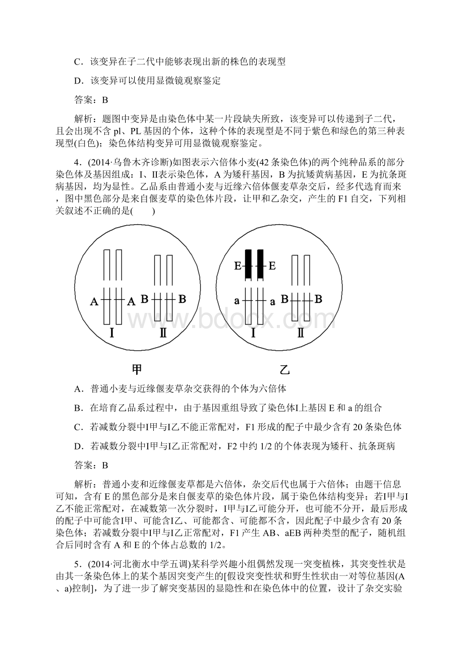 名师伴你行届高考生物二轮复习专题提能专训167变异育种和进化.docx_第3页