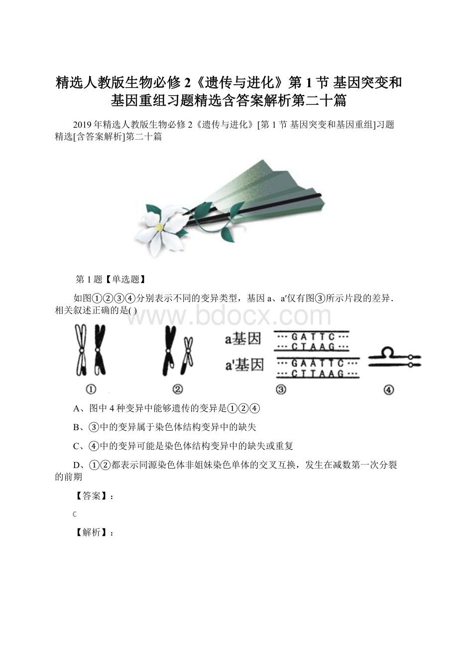 精选人教版生物必修2《遗传与进化》第1节 基因突变和基因重组习题精选含答案解析第二十篇Word文件下载.docx