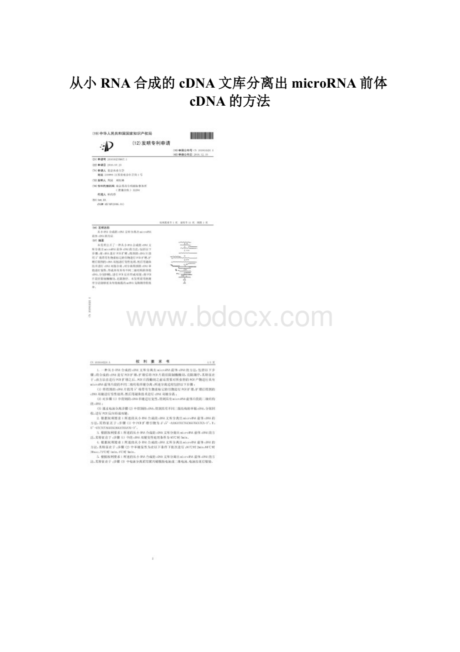 从小RNA合成的cDNA文库分离出microRNA前体cDNA的方法Word文档格式.docx