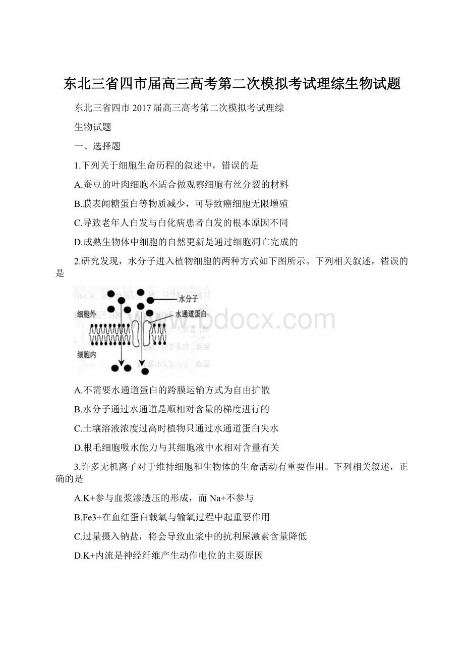 东北三省四市届高三高考第二次模拟考试理综生物试题.docx_第1页