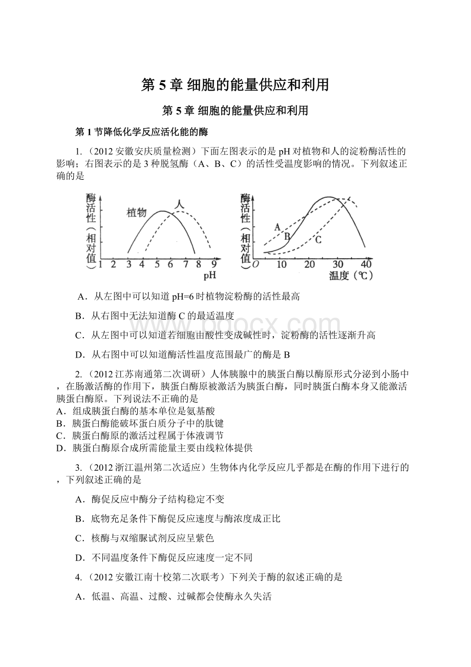 第5章细胞的能量供应和利用Word下载.docx_第1页