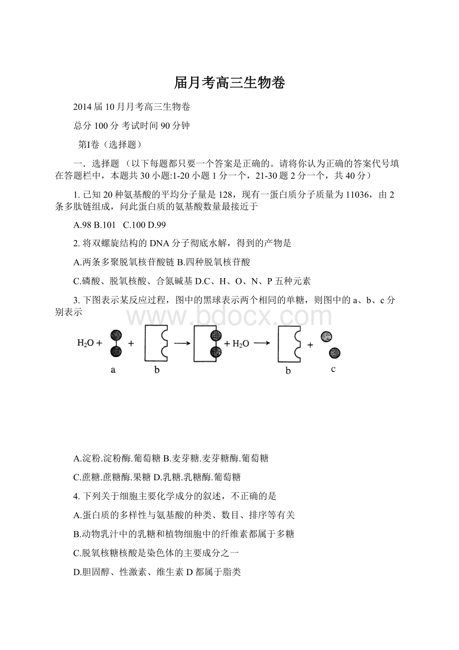 届月考高三生物卷.docx