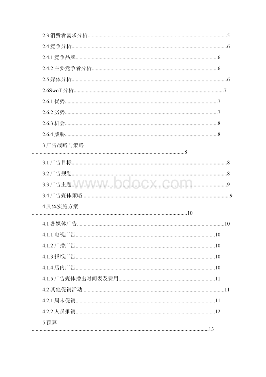 飘柔洗发水广告策划书文档格式.docx_第2页