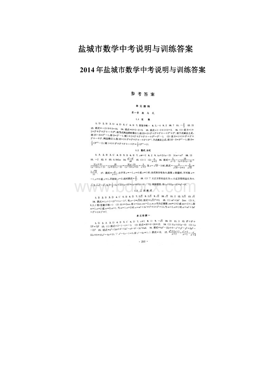 盐城市数学中考说明与训练答案Word格式文档下载.docx