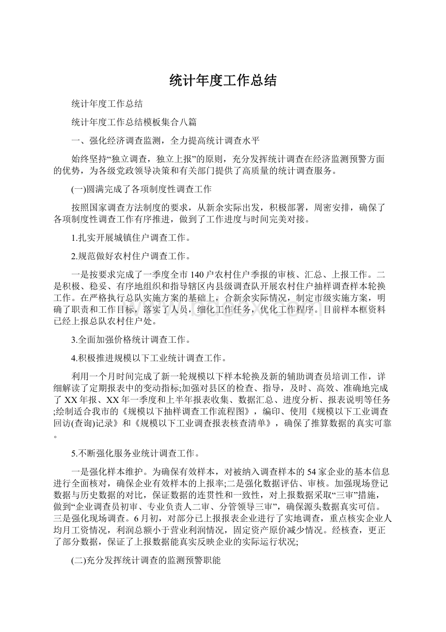 统计年度工作总结Word文档格式.docx