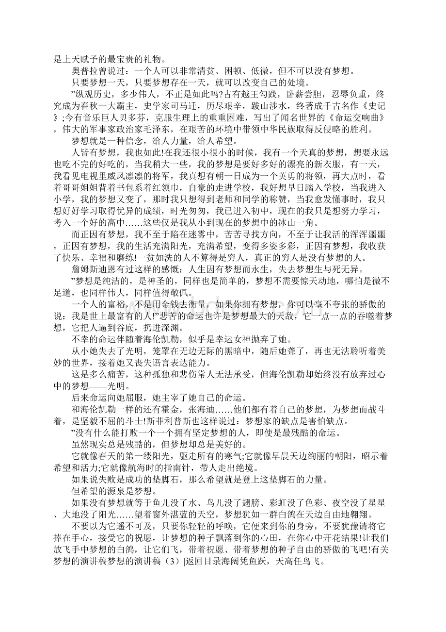 梦想的演讲稿4篇Word文档下载推荐.docx_第2页