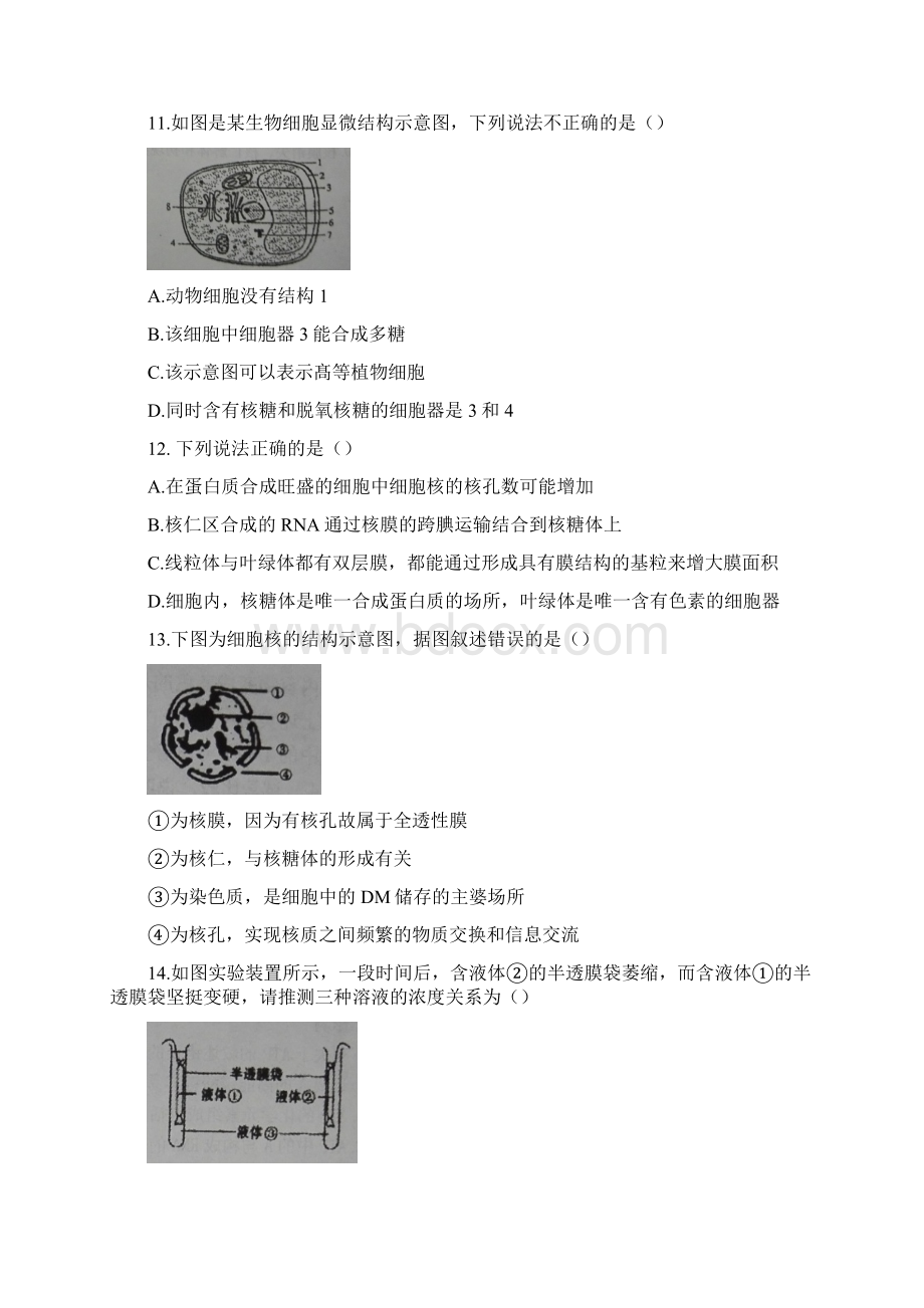 山东省临沭县学年高一上学期期末考试生物试题及答案Word格式.docx_第3页