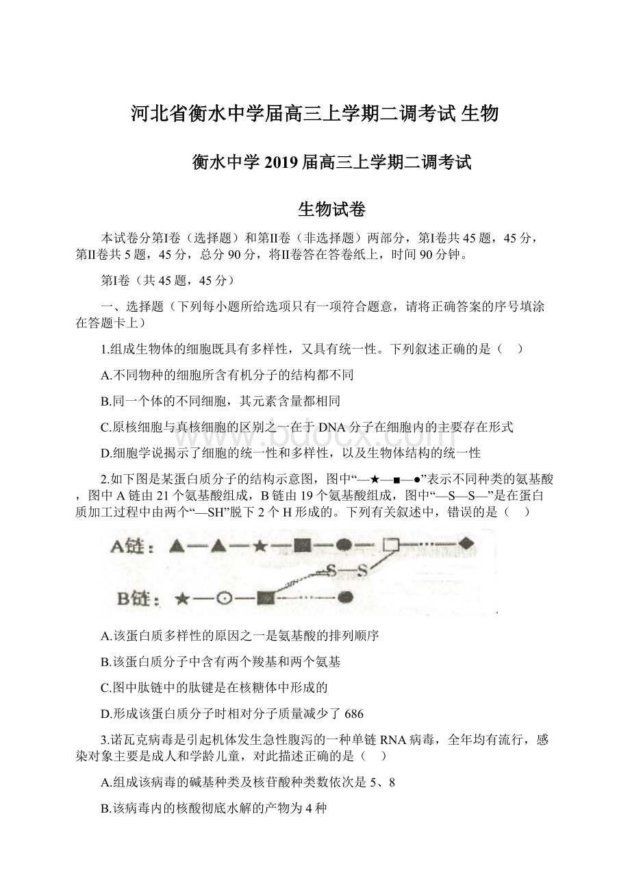 河北省衡水中学届高三上学期二调考试 生物.docx