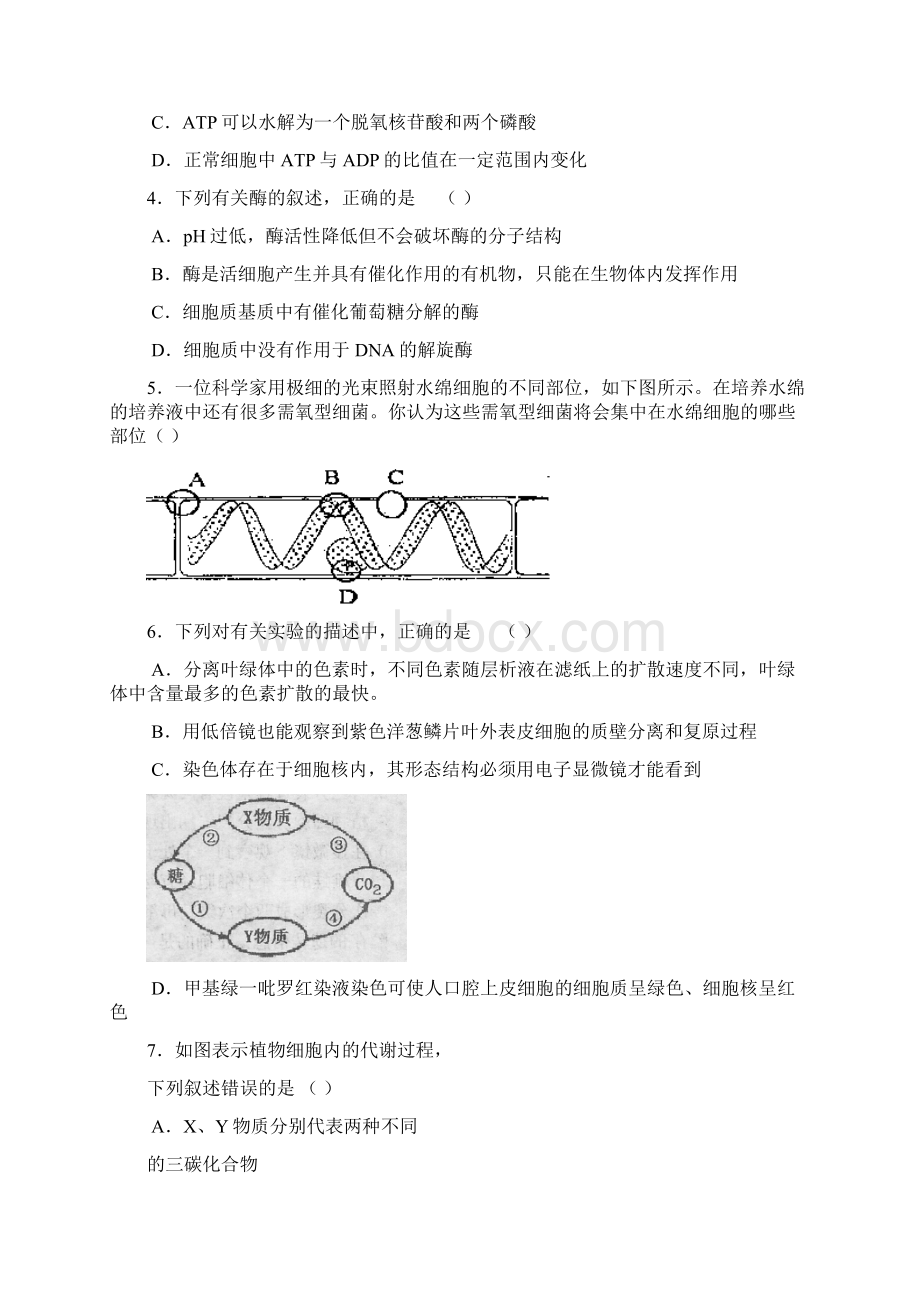 金陵中学学年度高三第一学期期中考试生 物Word格式文档下载.docx_第2页