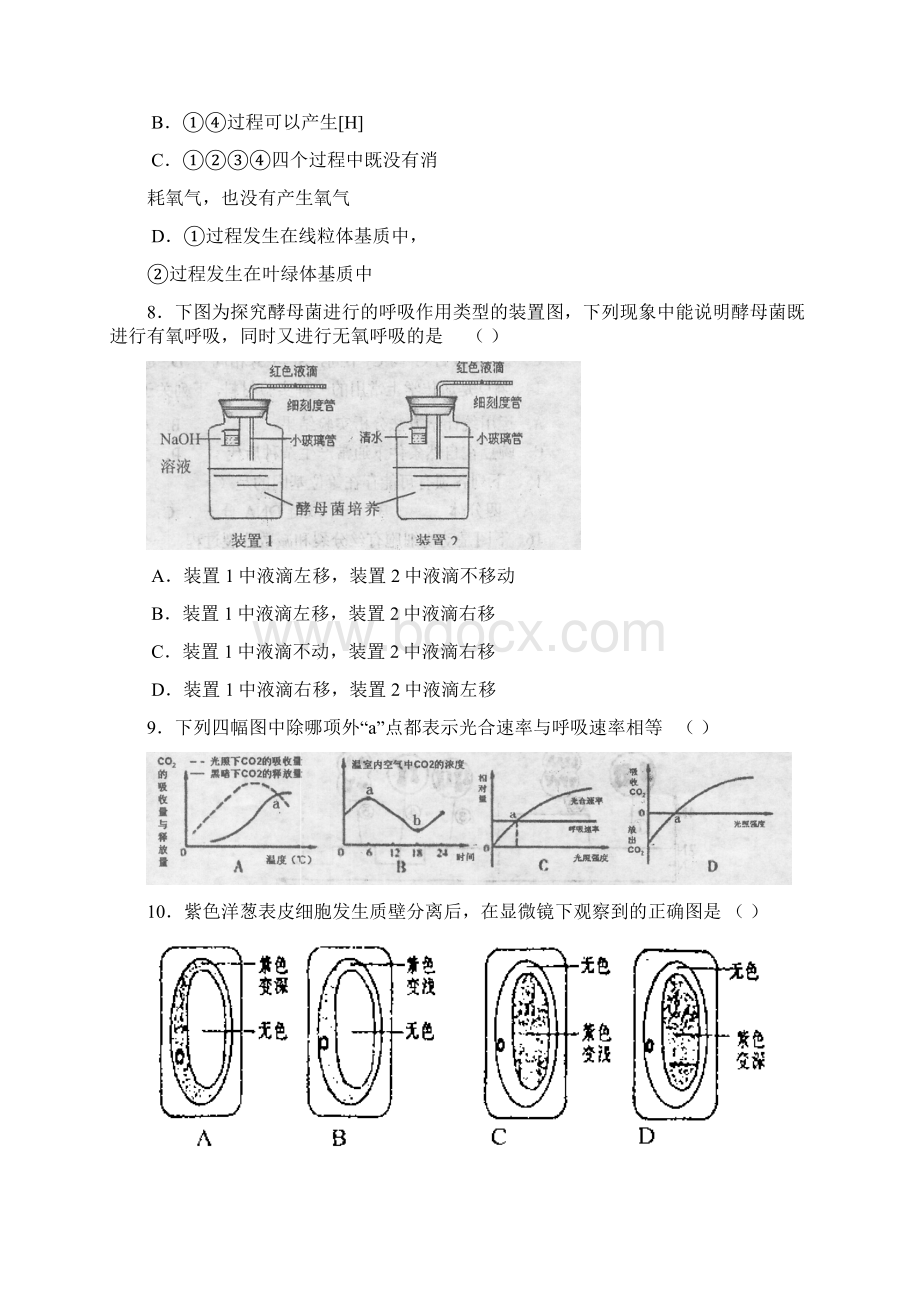 金陵中学学年度高三第一学期期中考试生 物Word格式文档下载.docx_第3页