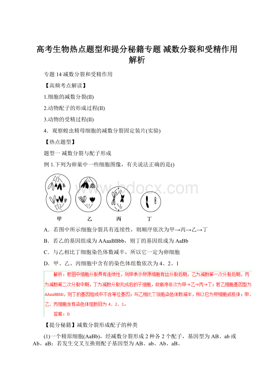 高考生物热点题型和提分秘籍专题 减数分裂和受精作用解析Word格式文档下载.docx