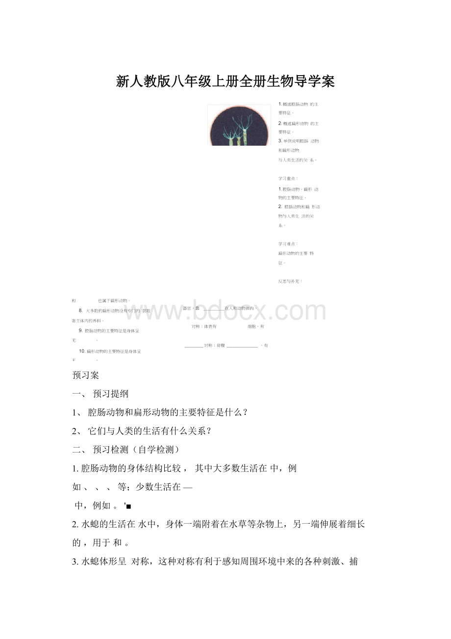 新人教版八年级上册全册生物导学案Word文档下载推荐.docx