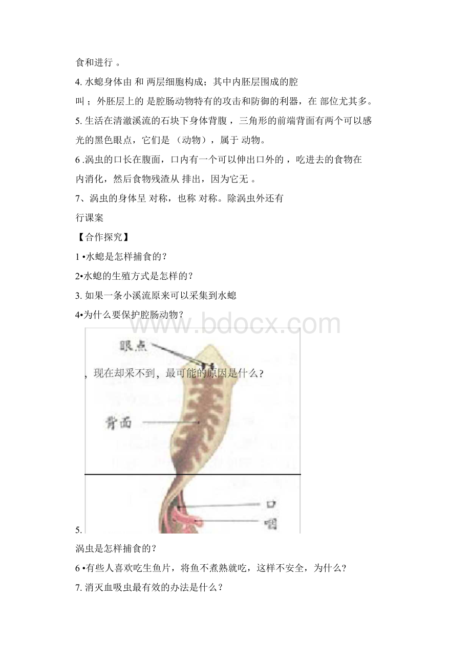 新人教版八年级上册全册生物导学案Word文档下载推荐.docx_第2页