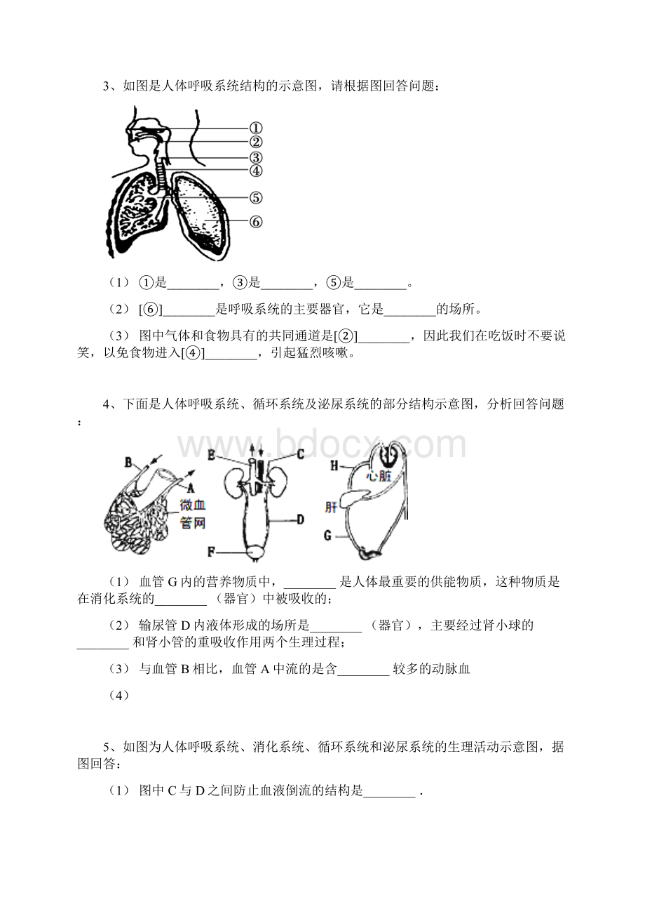 学年 中考从此生物必刷题人体八大系统.docx_第2页