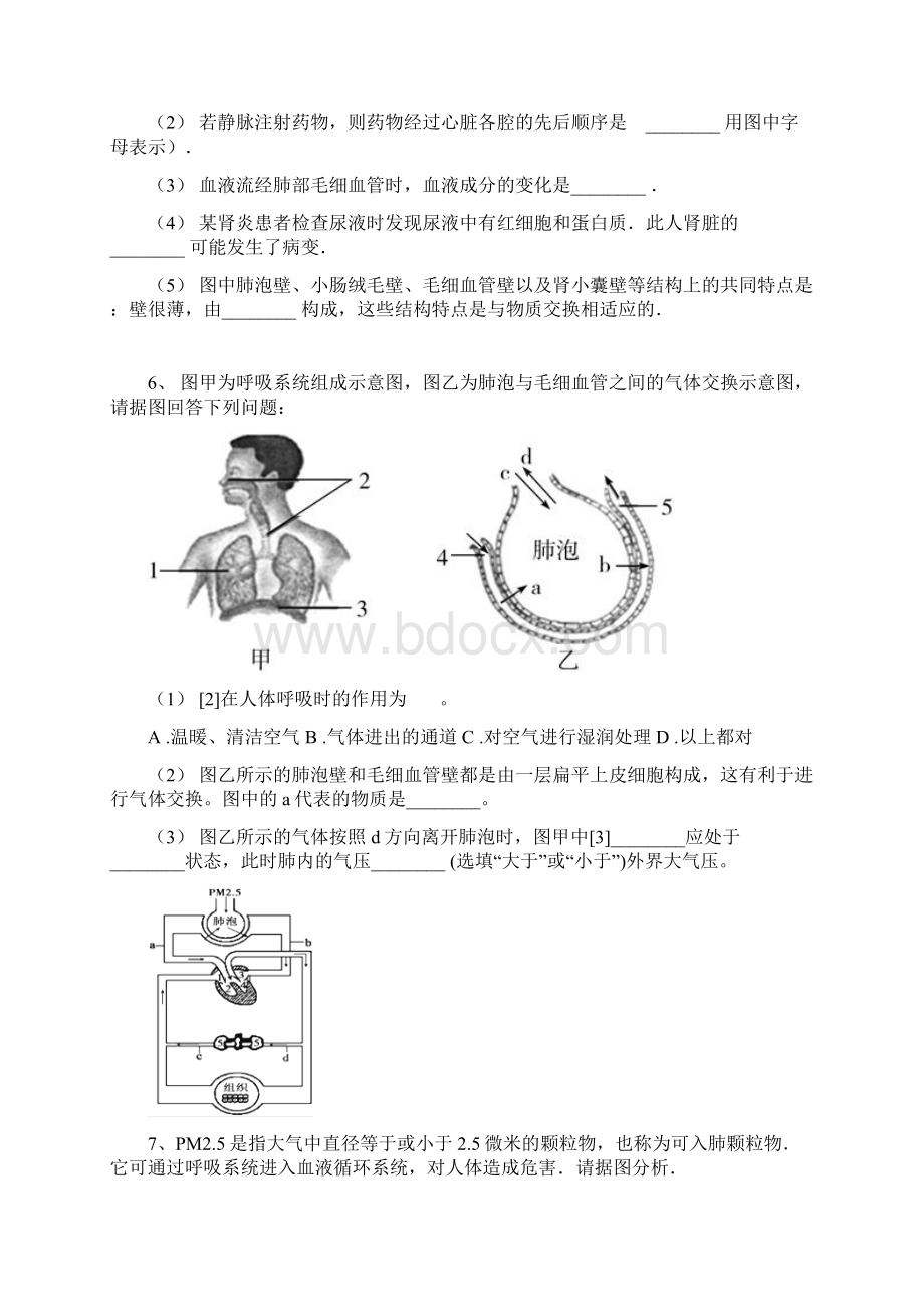 学年 中考从此生物必刷题人体八大系统.docx_第3页