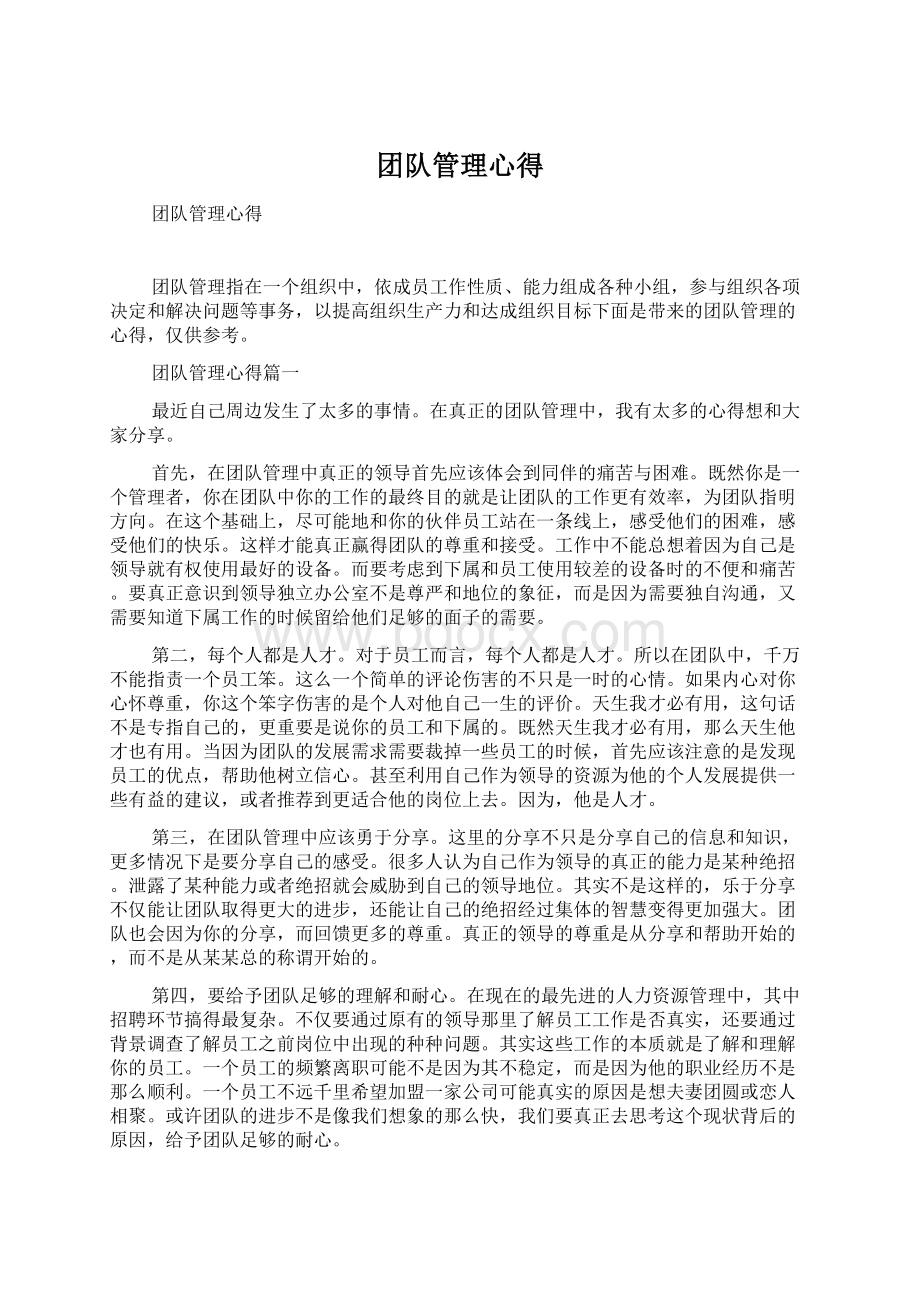 团队管理心得.docx