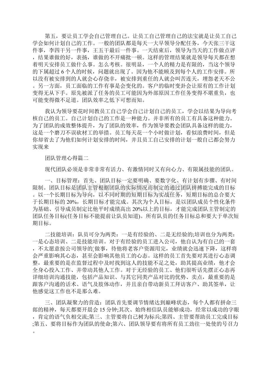 团队管理心得.docx_第2页