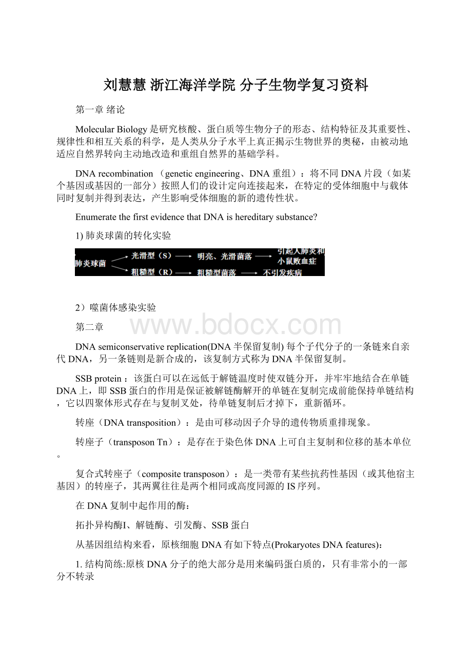 刘慧慧 浙江海洋学院 分子生物学复习资料.docx_第1页