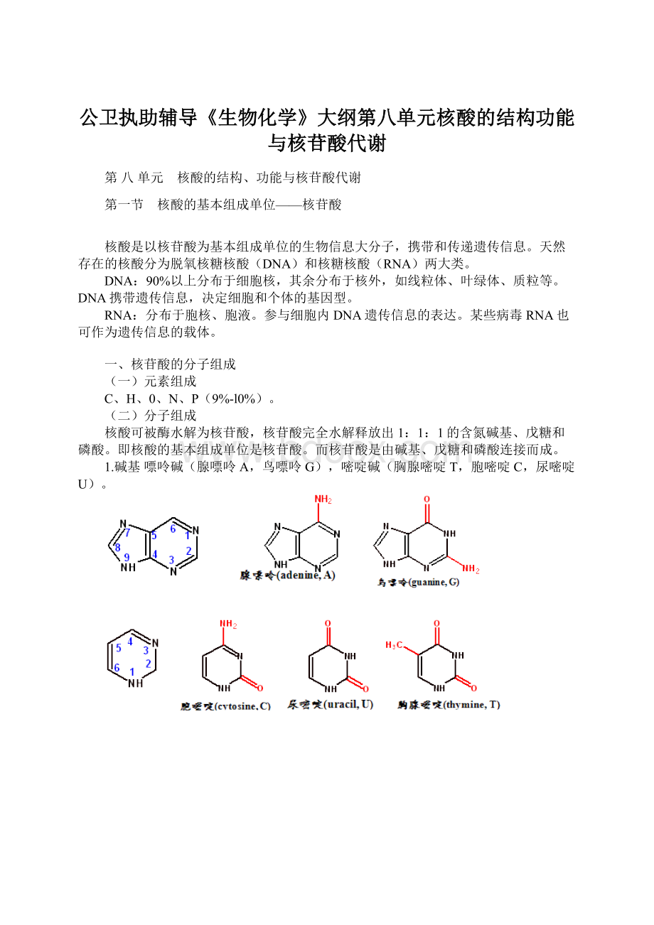 公卫执助辅导《生物化学》大纲第八单元核酸的结构功能与核苷酸代谢.docx
