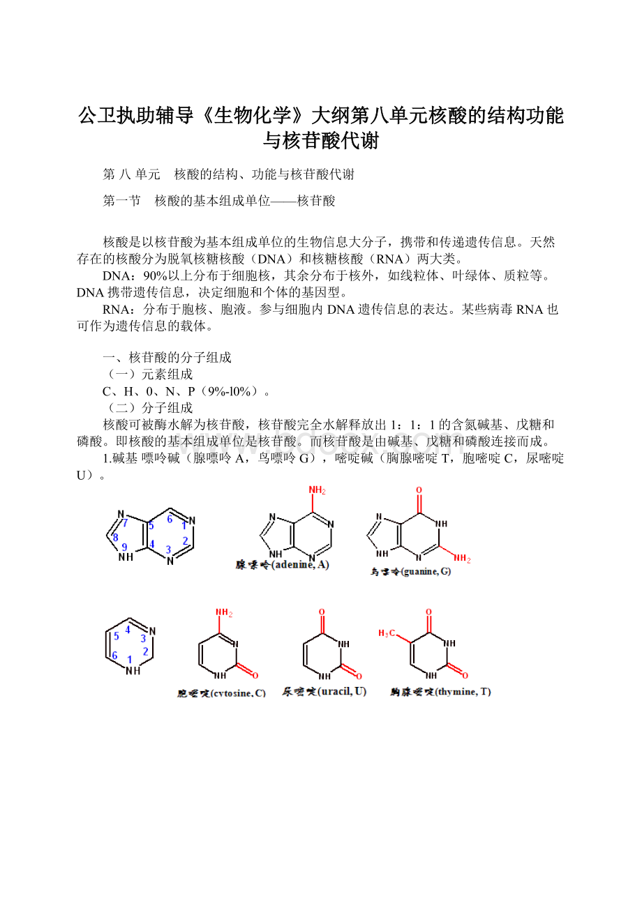 公卫执助辅导《生物化学》大纲第八单元核酸的结构功能与核苷酸代谢Word格式.docx_第1页