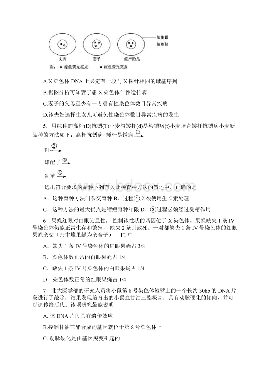 必修2第五章基因突变与其它变异.docx_第2页