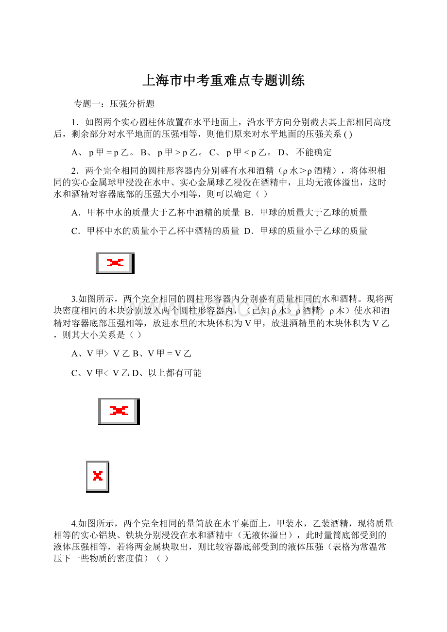 上海市中考重难点专题训练Word格式文档下载.docx_第1页