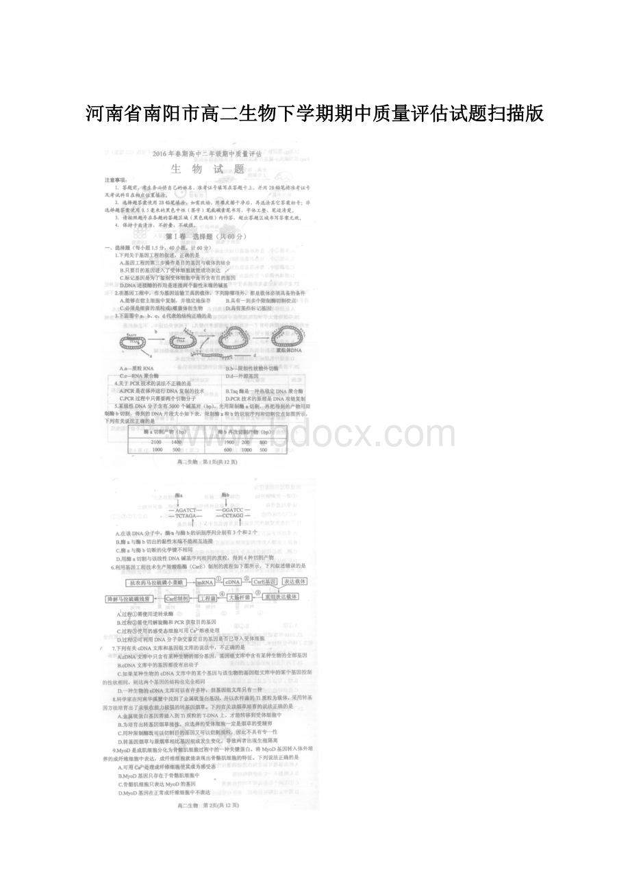 河南省南阳市高二生物下学期期中质量评估试题扫描版Word文件下载.docx_第1页