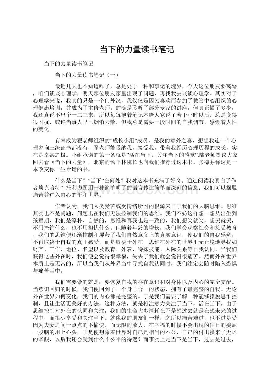 当下的力量读书笔记Word格式文档下载.docx_第1页