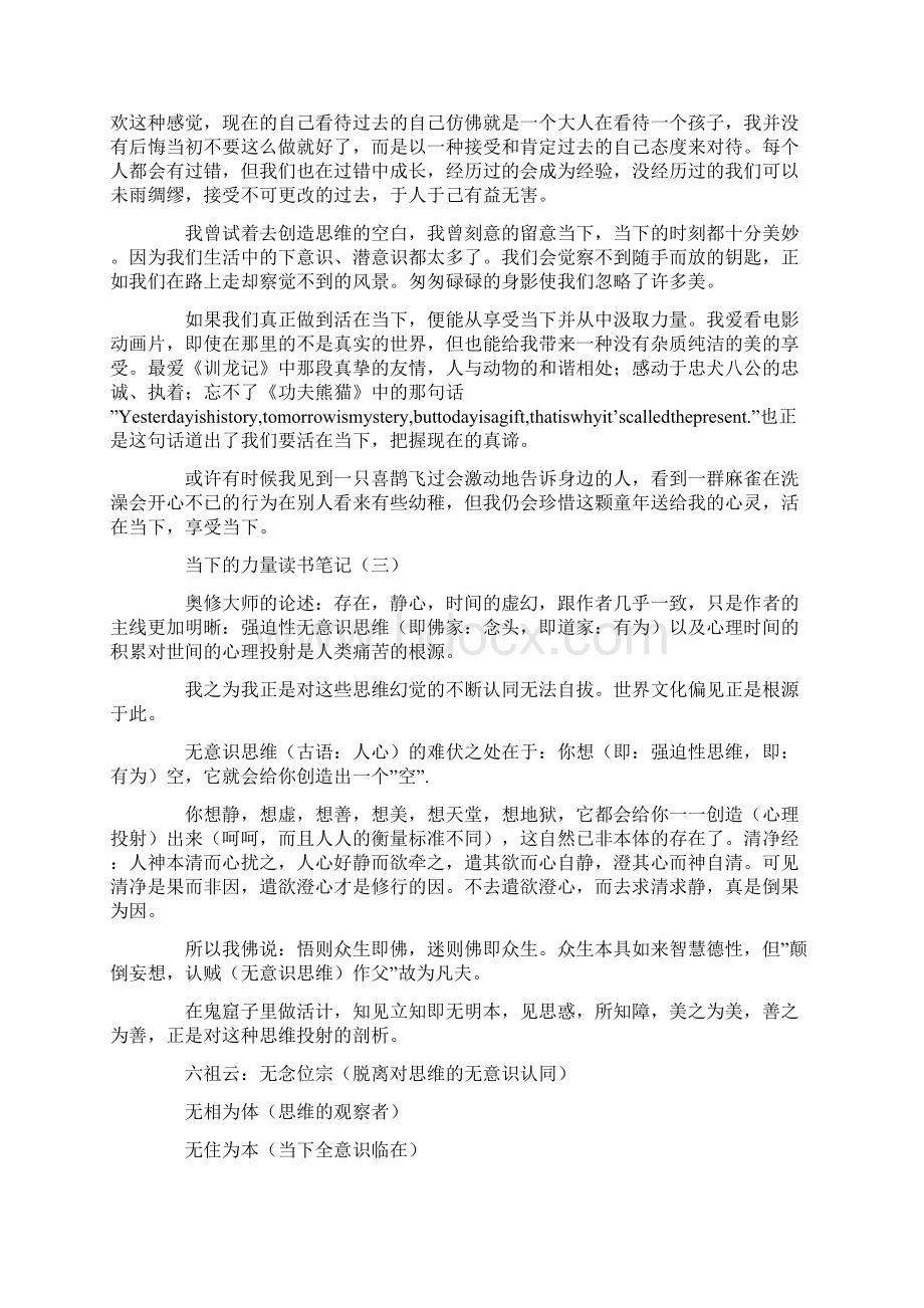 当下的力量读书笔记Word格式文档下载.docx_第3页