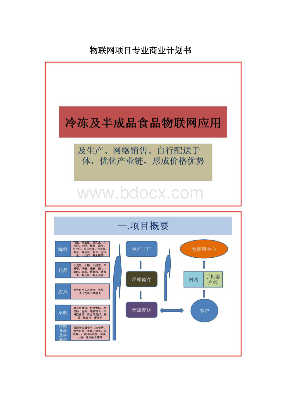 物联网项目专业商业计划书Word格式文档下载.docx